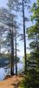 IMG_20240807_214152.thumb.jpg.75994f5501c81ec03a6a04eb7b1703c6.jpg