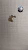 IMG_20240818_222858.thumb.jpg.d6441fda9bc02046a31186dae45beffb.jpg