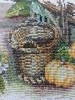 IMG_20240825_173900.thumb.jpg.2d81ec678baec439fec696f423eed52e.jpg?1724596896328