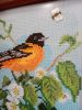 IMG_20240826_231913.thumb.jpg.b9e4a626481242827c3c42f27ad9e69c.jpg