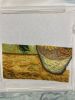 IMG_2313.jpeg