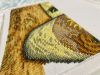IMG_2314.jpeg