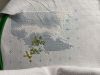 IMG_2370.jpeg