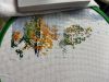 IMG_2417.jpeg