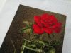 068.thumb.jpg.5dcdbc022fbf6ec6bdde829900fbf773.jpg