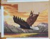 105929272_SilentFlight1349.thumb.jpg.d6856bfcbe4a92486f6eed027b8becb7.jpg