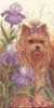 13780.thumb.jpg.8d16ad288b81476fbbd200a6e06665fc.jpg