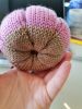 1726042140513.thumb.jpg.0bff017061ef3f37f332cc0a44ab4921.jpg