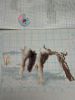 2.thumb.jpg.55c99b036cd49306e0aaba4e5db966a9.jpg