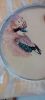 2.thumb.jpg.5e5345dc348472a4aed8eebb8748f90f.jpg