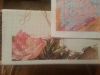 20130903_212832.jpeg