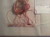 20140423_183639.jpeg