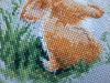 20240912_115043.thumb.jpg.edc56f0b79381aa4a7cf5ea5d9e1dfd4.jpg