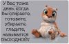 5prwF1DfTIs.thumb.jpg.9c50f50c19139af3fc0c285303da104f.jpg