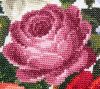9.thumb.jpg.b1d4caac10d56c46a4c32cab280c5aa9.jpg