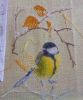 Chickadee2.jpg.aaa5a114ade053254c7435162c8ac6f7.thumb.jpg.f627dcf2e983e0d49f0fba914632fb44.jpg