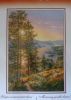 DSC08833.thumb.jpg.e27e5fa7e6ecfe364330ef95bb8ee1c6.jpg