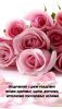 IMG-005fd1e31a3229266560c6dfcd2773ca-V.thumb.jpg.71c4c4a6e093f6f79ed189e9b9960085.jpg