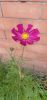 IMG-6be33a92815eac664b12061ff0179c40-V.thumb.jpg.8009f946c283c211e60197b955de6a3c.jpg