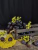 IMG20240821173912.thumb.jpg.818075fdb8b3ae2e4b7f5e7f138380c3.jpg