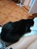 IMG20240921210637.thumb.jpg.b72a2d3a12230b831cccdb6eb3717153.jpg
