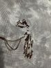 IMG_0176.jpeg