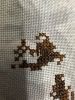 IMG_0177.jpeg