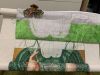 IMG_0422.jpeg