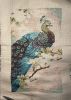 IMG_1481.jpeg