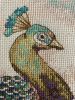IMG_1494.jpeg