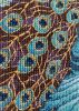 IMG_1497.jpeg