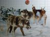 IMG_2024-07-11-21-40-02-735.thumb.jpg.3f7591cbc8e074e5c381b169b1df87c2.jpg