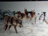 IMG_2024-08-04-22-58-10-944.thumb.jpg.1894870f4e58a4fdd083d513c0939dfb.jpg