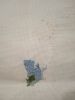 IMG_20240504_180016.thumb.jpg.6d39e2357f6fe785ab827889005f2878.jpg