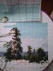 IMG_20240818_075157.thumb.jpg.0fcaf58f8be868ebafb5e422c88057af.jpg