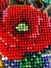 IMG_20240831_104221.thumb.jpg.e7b5de3056e21e32463a526f8042c165.jpg
