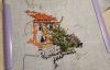 IMG_20240906_072442.thumb.jpg.41dfe5dd88a5aa81df3771b398f7375a.jpg