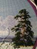IMG_20240909_201251.thumb.jpg.76a6bbd996dc0cf43f5d48a6bd88099b.jpg