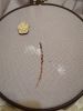 IMG_20240913_195041.thumb.jpg.25a336a6f29bbb79b82b5846d178f972.jpg