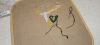 IMG_20240923_221725.thumb.jpg.c75972cdea738df85e3d44b4814b7c59.jpg