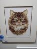 IMG_20240926_120705.thumb.jpg.458fe4b6facffb208b2d4fe9a9f56589.jpg