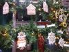 IMG_20240926_122620.thumb.jpg.a716e811898433e3668ea7355a71bfad.jpg