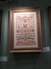IMG_20240926_164554.thumb.jpg.49d563697c0954143beb9ce730babd0b.jpg