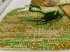 IMG_3213.jpeg