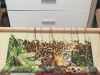 IMG_3640.jpeg