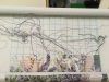 IMG_3722.jpeg