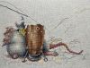 IMG_5330.thumb.jpeg.ac4aa3d3ec180a78ce776bcc65962d89.jpeg