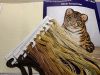 IMG_5782.jpeg