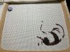 IMG_5783.jpeg
