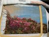 IMG_5991.jpeg
